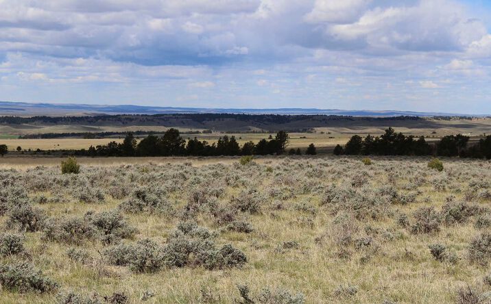 Pictures of Land property located at xxx Newcastle, Newcastle, WY 82701 for sales - image #1
