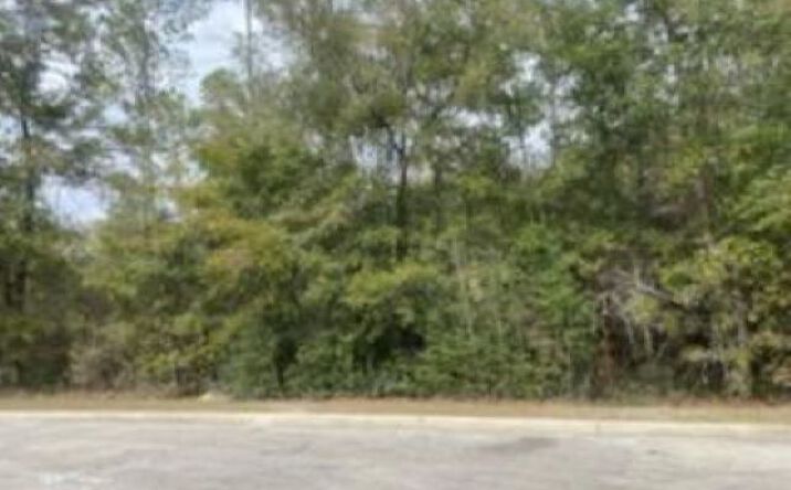 Pictures of Land property located at Crawfordville Hwy, Crawfordville, FL 32327 for sales - image #1