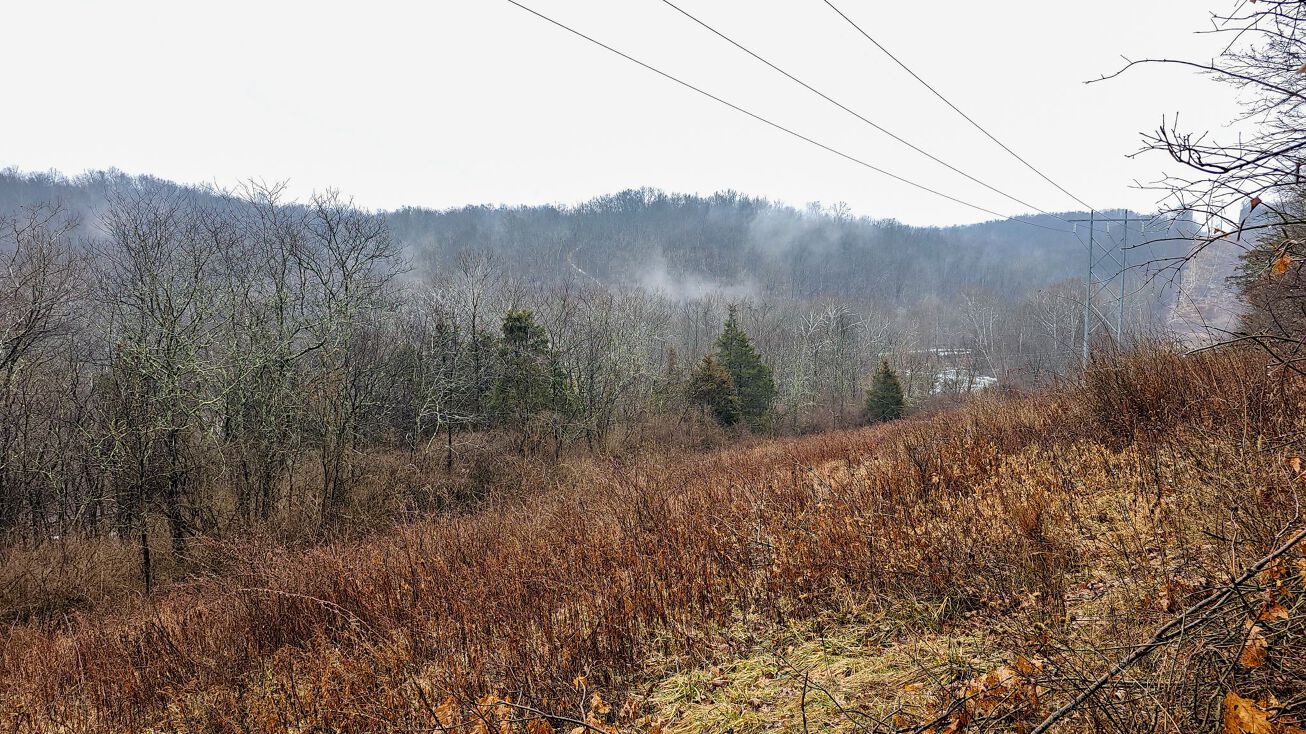 77+/ Acres of Mature Timber on South Hogan Creek, Moores Hill, IN