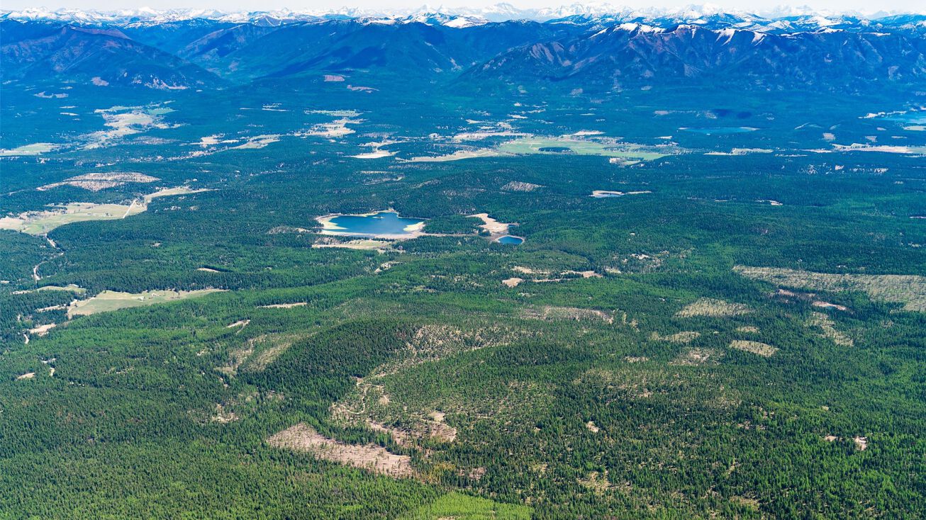 Nhn Roberts Creek Road, Fortine, MT 59918