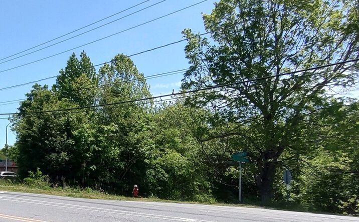 Pictures of Land property located at Nc Highway 109 and Virginia Dr, Thomasville, NC 27360 for sales - image #1