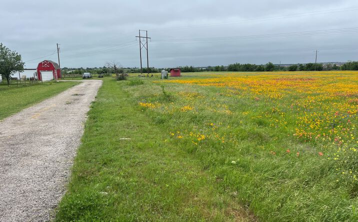 Pictures of Land property located at 85 Prairie Dr, Jarrell, TX 76537 for sales - image #1