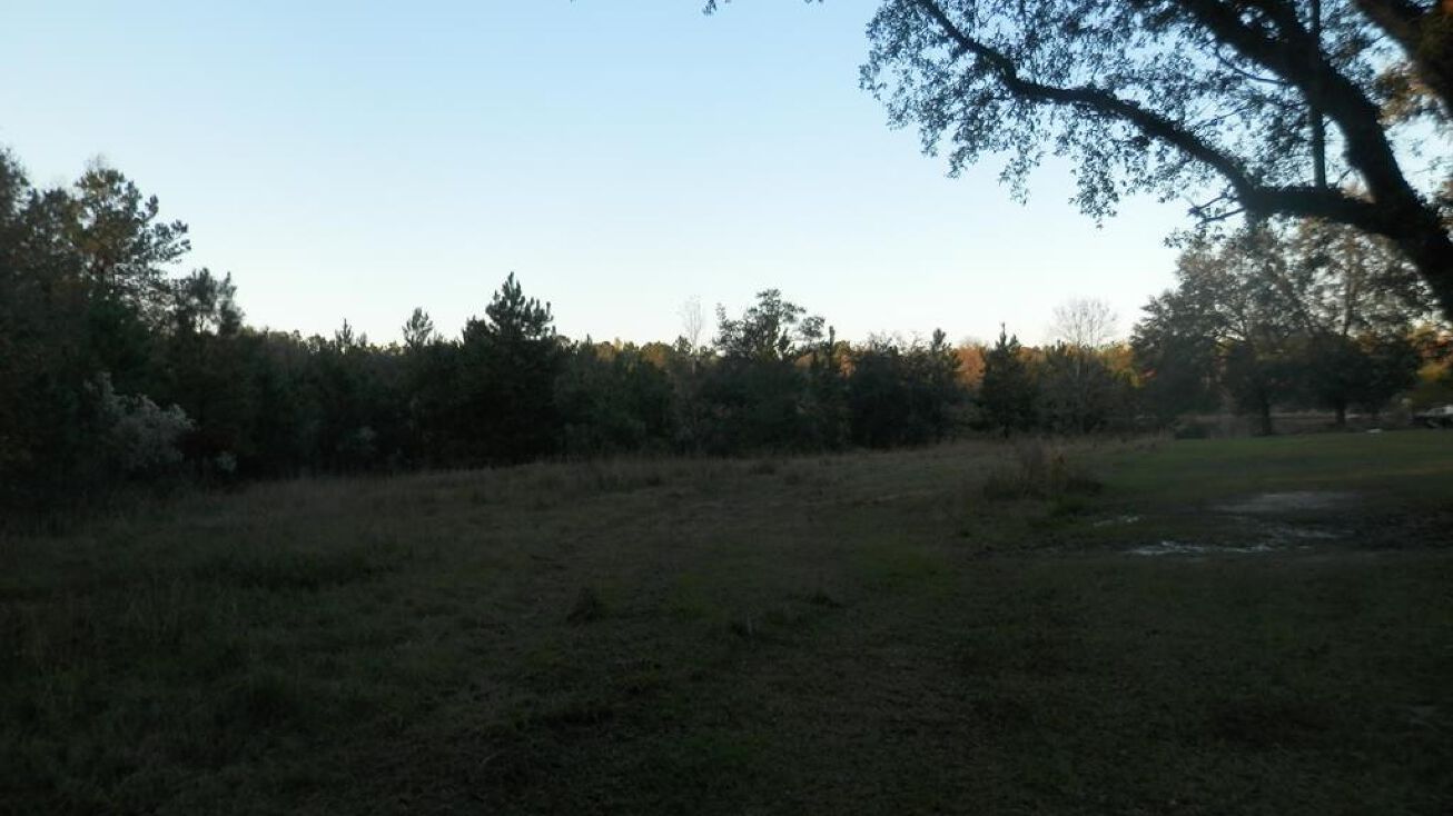 Lot 34 Riggins Road, Moultrie, GA 31788