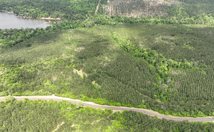 Pictures of Land property located at 22 County Road 2145, Wheeler Springs, TX 75835 for sales - image #1