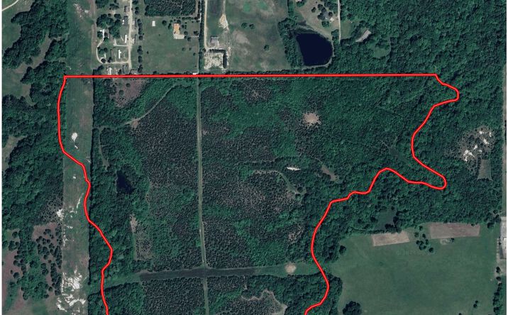 Pictures of Land property located at 0 US Highway 80 East, Gallion, AL 36742 for sales - image #1