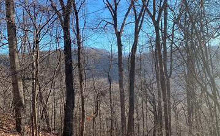 Pictures of Land property located at Wash Freeman Rd, Hendersonville, NC 28792 for sales - image #1
