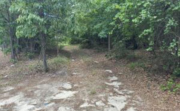 Pictures of Land property located at Tbd I-20 And Columbia Highway N, Aiken, SC 29805 for sales - image #1
