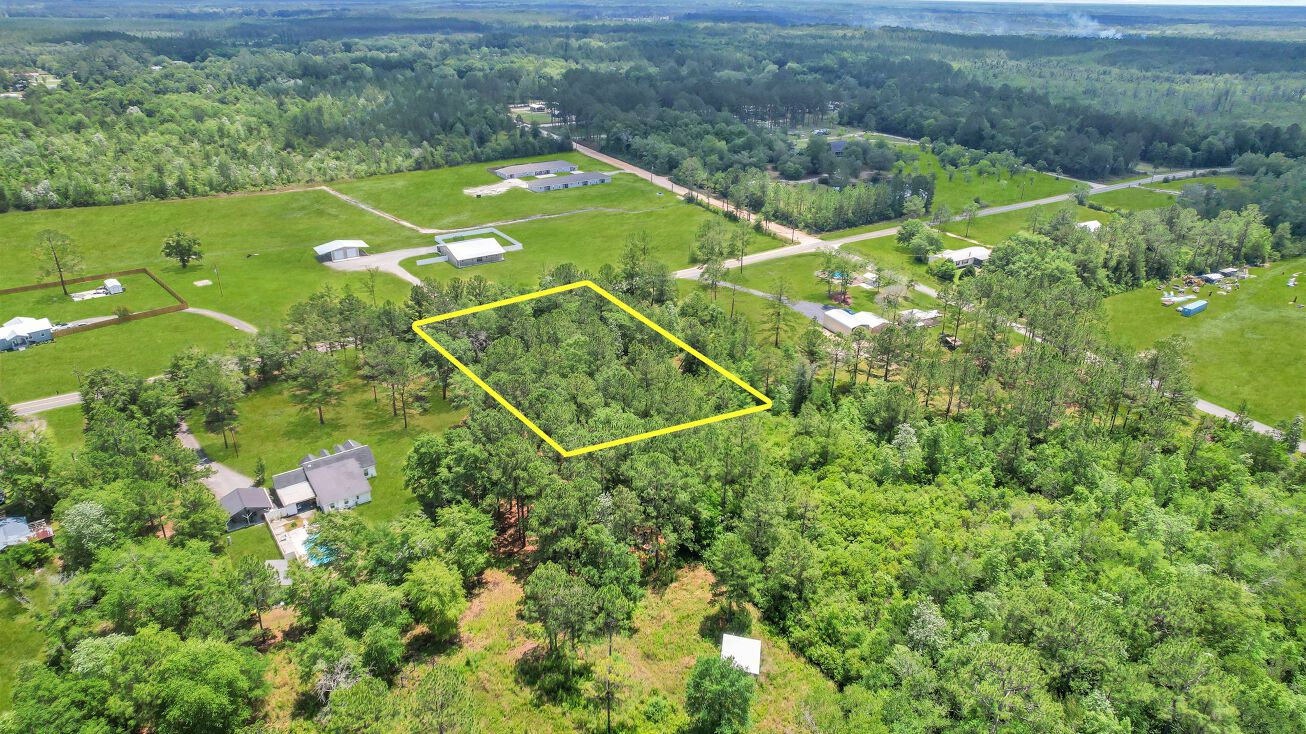 Yellow Bluff Rd, Blackshear, GA 31516