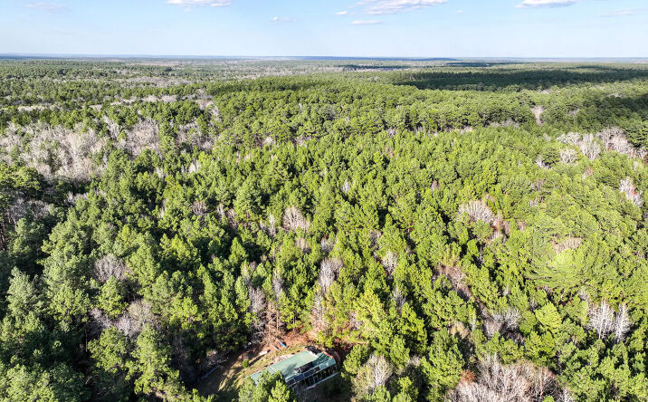 Pictures of Land property located at Solitude In Houston County, Kennard, TX 75847 for sales - image #1