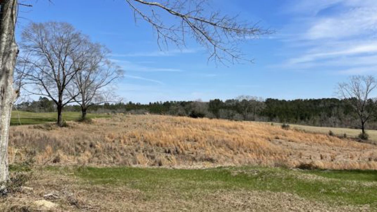 35636 Boykin Rd, Red Level, AL 36474