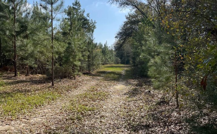 Hwy 55 Red Oak, Florala, AL 36442 | Crexi.com