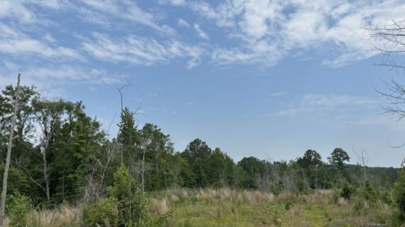 Dallas County Land Auction at Margaret Cash blog