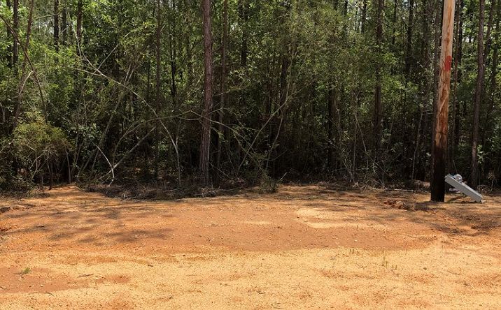 Pictures of Land property located at 88 Bear Road, Carriere, MS 39426 for sales - image #1