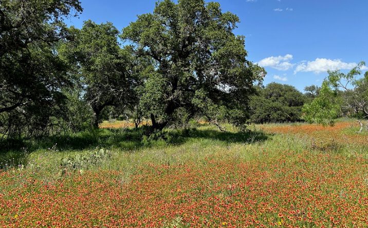 Pictures of Land property located at 1079 Lake Breeze Dr, Brownwood, TX 76801 for sales - image #1