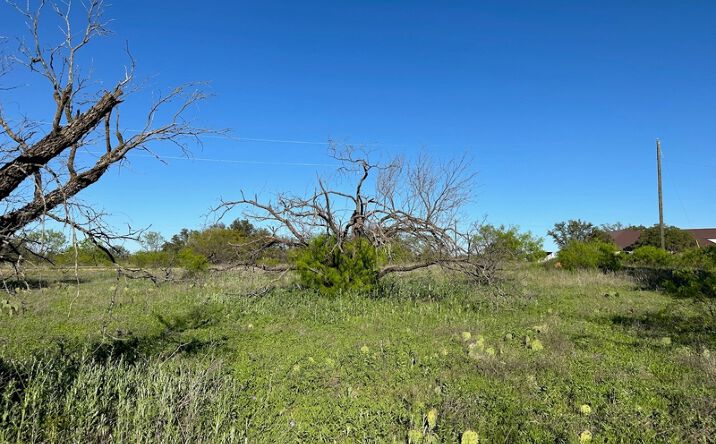 Pictures of Land property located at 740 Downhaul Way, Brownwood, TX 76801 for sales - image #1