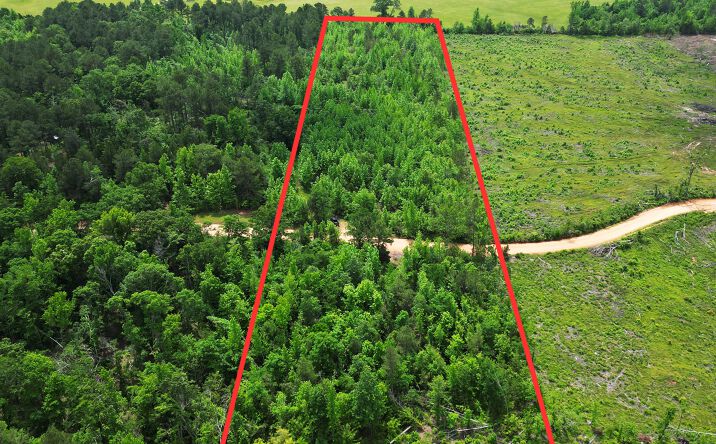 Pictures of Land property located at TBD CR 77, Doddridge, AR 71854 for sales - image #1