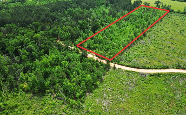 Pictures of Land property located at TBD CR 77, Doddridge, AR 71854 for sales - image #1