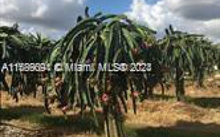 Pictures of Special Purpose property located at 144XX 205 Ave, Miami, FL 33196 for sales - image #1