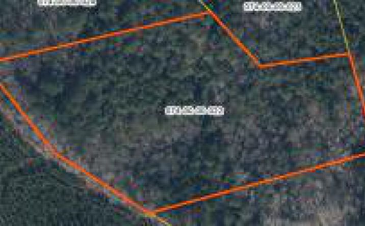 Pictures of Land property located at Lot B 6ac Daniel Avenue, Johnston, SC 29832 for sales - image #1