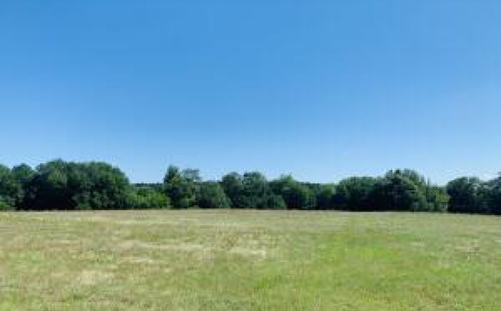 Pictures of Land property located at 0 Shaws Fork Road, Aiken, SC 29805 for sales - image #1