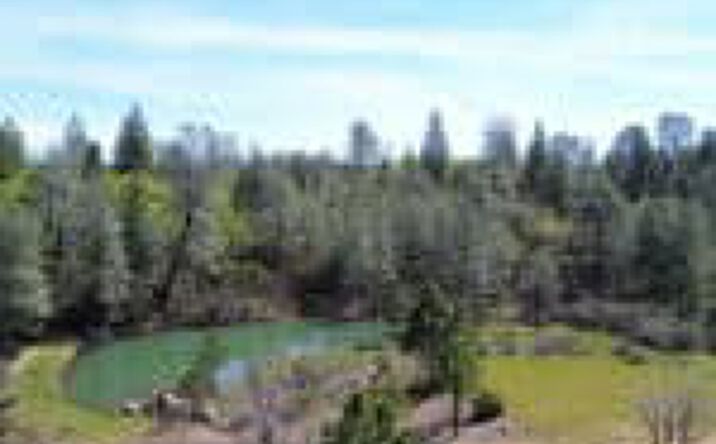 backbone-rd-bella-vista-ca-96008-crexi