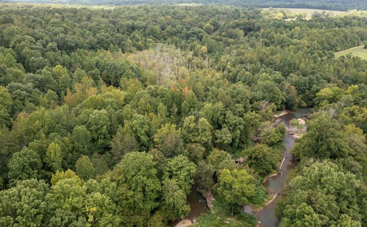 Pictures of Land property located at 694 Napier Rd, Hohenwald, TN 38462 for sales - image #1