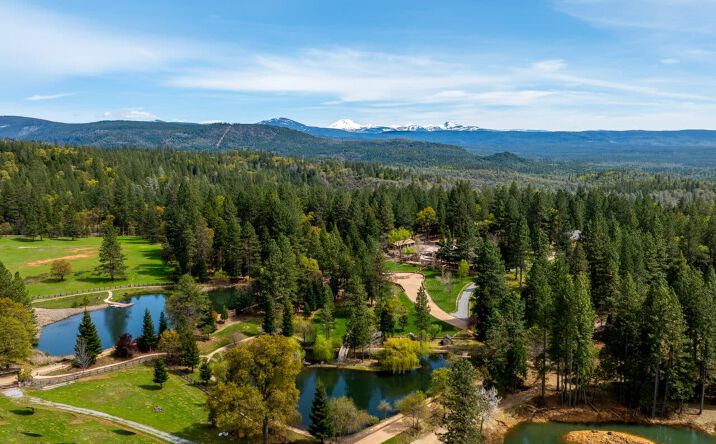 Pictures of Land property located at 14388 Fern Rd, Whitmore, CA 96096 for sales - image #1