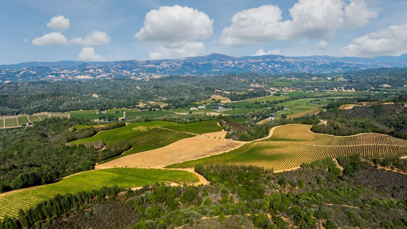 9965 W Dry Creek Rd, Healdsburg, CA 95448