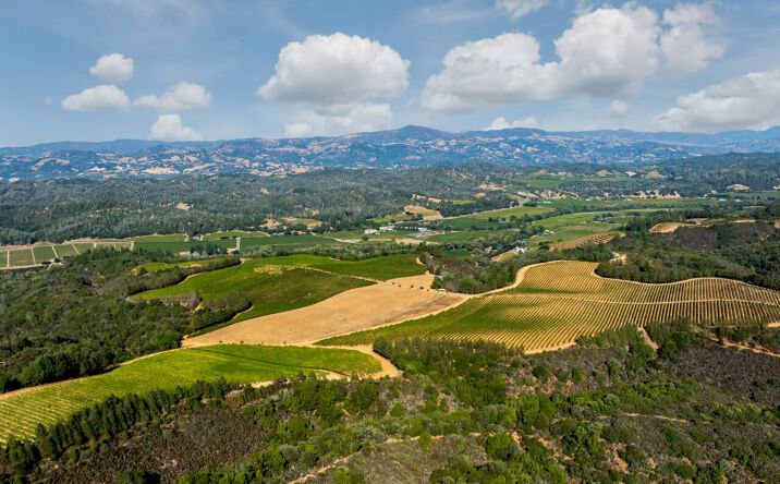 Pictures of Land property located at 9965 W. Dry Creek Road, Healdsburg, CA 95448 for sales - image #1