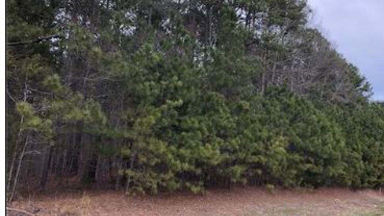 Maple Lane, South Hill, VA 23970 Land for Sale Maple Lane