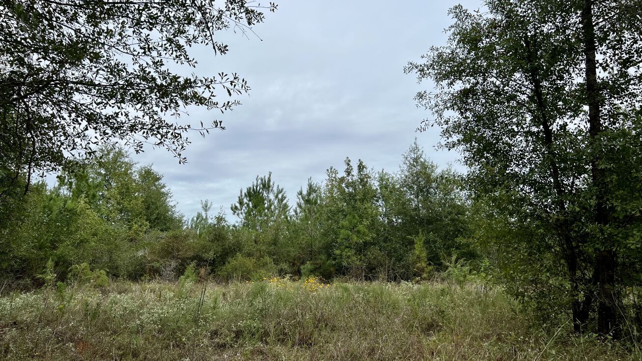 1947 Felix Currie Rd, Oakhurst, TX 77359