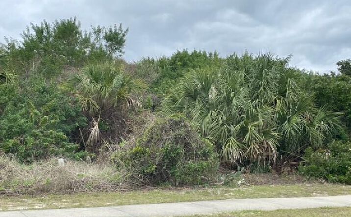 Pictures of Land property located at 4572 S Peninsula Drive, Ponce Inlet, FL 32127 for sales - image #1