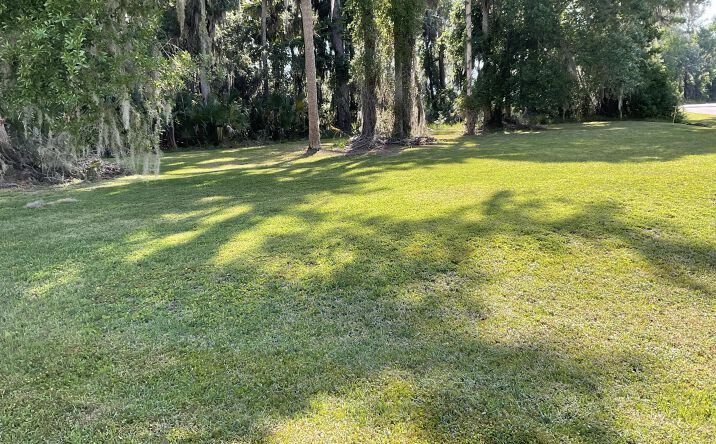 Pictures of Land, Multifamily property located at 1604 Bass Avenue, Seville, FL 32190 for sales - image #1