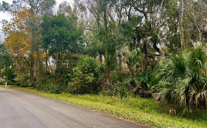 Pictures of Land property located at 280 Riverbend Road, Ormond Beach, FL 32174 for sales - image #1