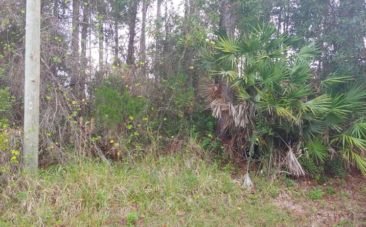image of property at 20 WOODLAWN DRIVE Palm Coast FL 32164