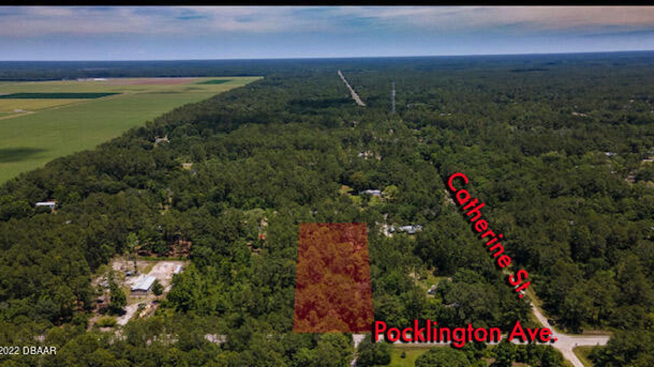 9640 Pocklington Avenue, Hastings, FL 32145