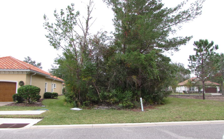 Pictures of Land property located at 62 Apian Way, Ormond Beach, FL 32174 for sales - image #1