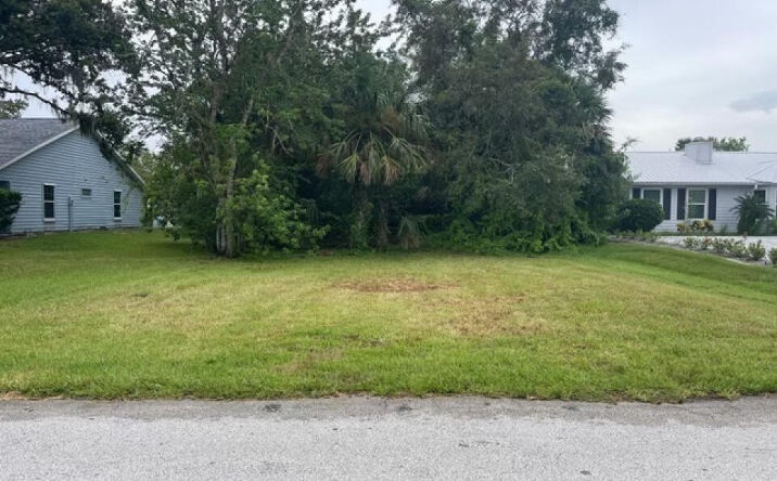 Pictures of Land property located at 1236 Wayne Avenue, New Smyrna Beach, FL 32168 for sales - image #1