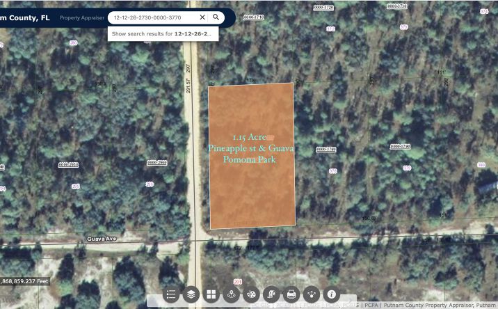 Pictures of Land property located at 200 Guava Avenue, Pomona Park, FL 32181 for sales - image #1