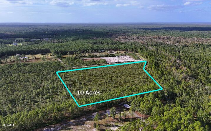 Pictures of Land property located at 30 Chesser Hammock Road, Pierson, FL 32180 for sales - image #1