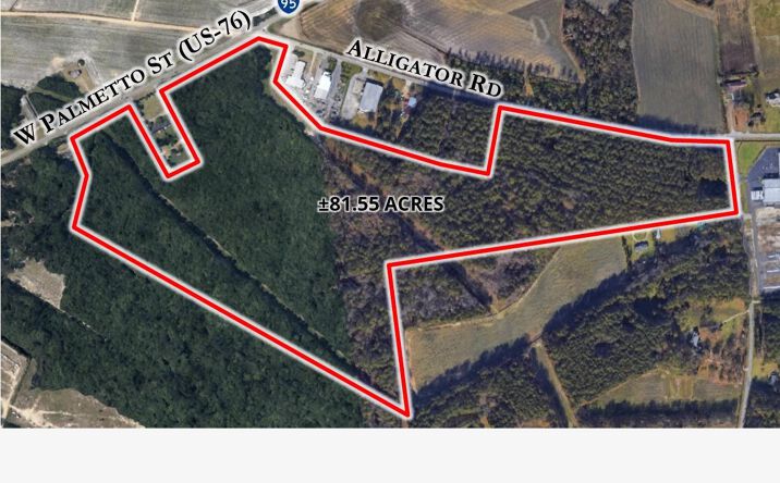 Pictures of Land property located at W Palmetto St, Timmonsville, SC 29161 for sales - image #1