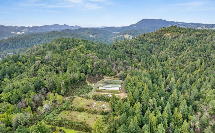 Pictures of Land property located at 3167 Redwood Drive, Redway, CA 95560 for sales - image #1