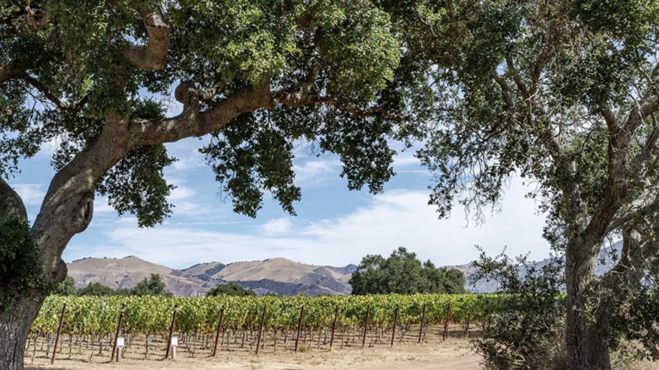 6893 Foxen Canyon Rd, Los Olivos, CA 93441