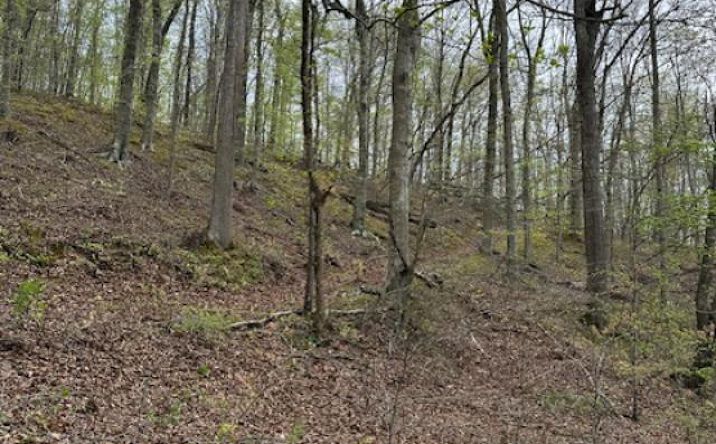Pictures of Land property located at 950 Green Branch Rd, Sandy Hook, KY 41171 for sales - image #1