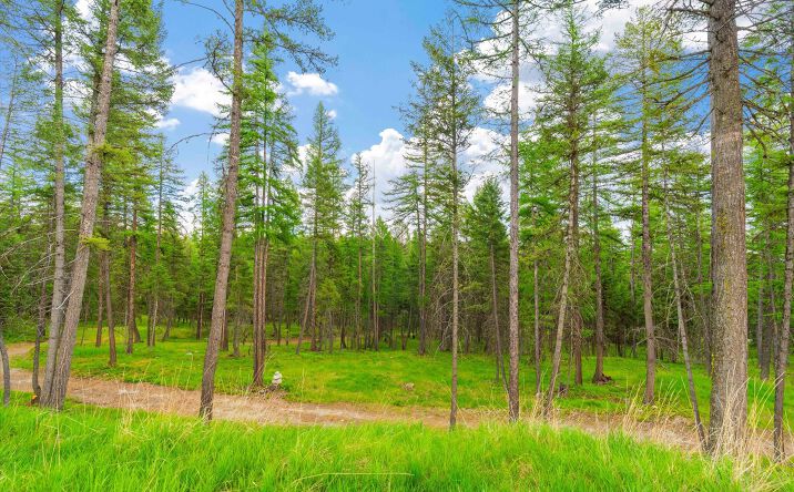 Pictures of Land property located at 1624 Whitefish Ranch Road, Whitefish, MT 59937 for sales - image #1