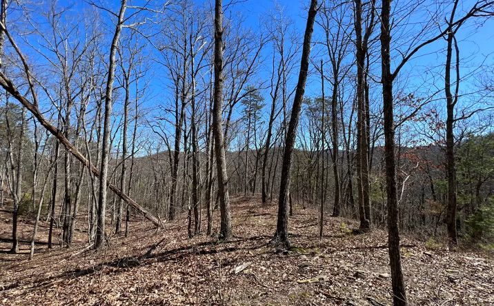 Pictures of Land property located at Stone Cliff Dr, Ellijay, GA 30536 for sales - image #1