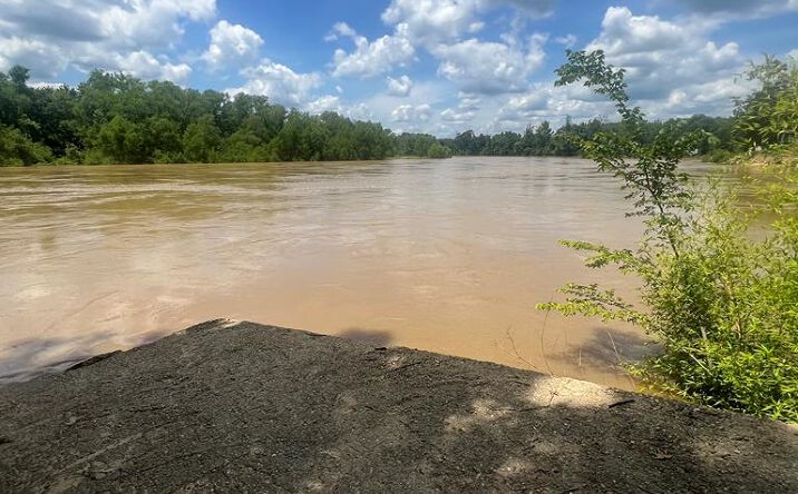 Pictures of Land property located at 0 James Lane, Columbia, MS 39429 for sales - image #1