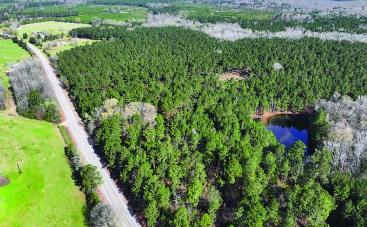 Pictures of Land property located at Big Oak 292, Hempstead, AR 72501 for sales - image #1