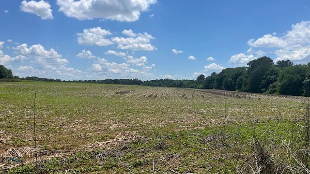 Pulaski Pike, Toney, AL 35773