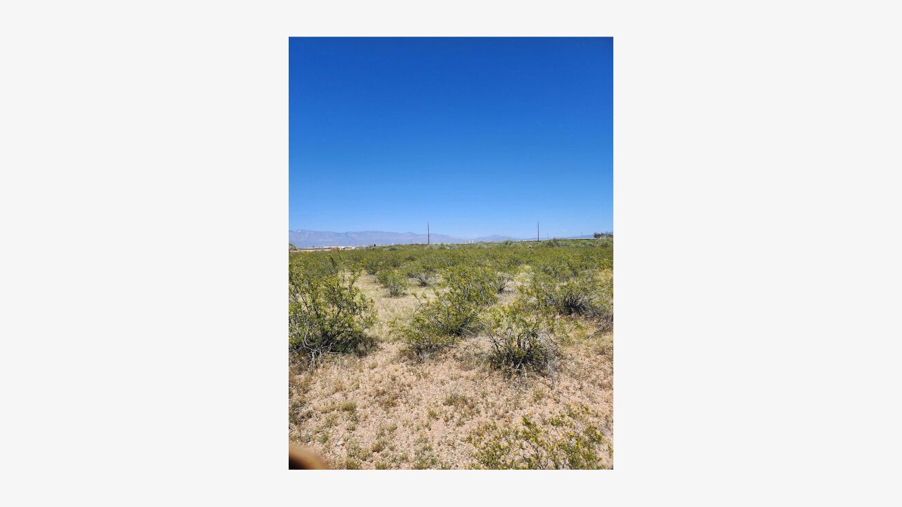 6550 S Wilmot Rd, Tucson, AZ 85756